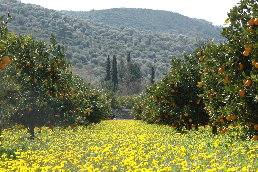 samos reisefuehrer-16