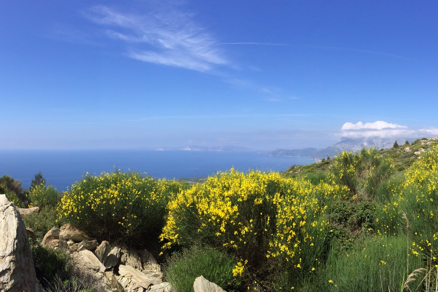 samos reisefuehrer-8